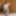Rinka Mizuhara :: A Danfer Temptation From Wife - CARIBBEANC #4