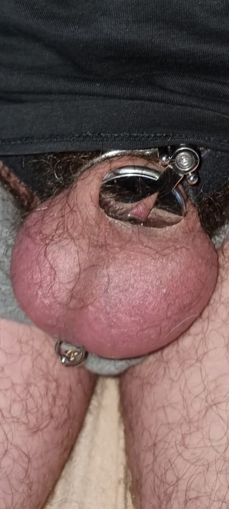 My new chastity cage after 2 days #23