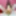 Alisya JC weekly photos 31 Anal Dildo Gape