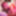 Interracial Blowjob in HD