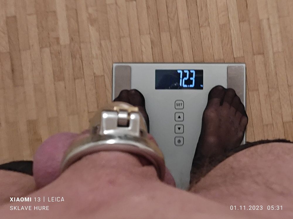 Mandatory weighing cagecheck plugcheck November 01, 2023 #16