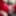 Knights in red satin.  #2