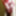 Pics of my big Dick in Red