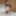 ONLY TARTS - Shock Content new scene PART 1 #18