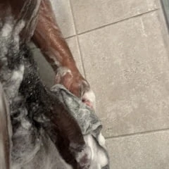 Shower BBC