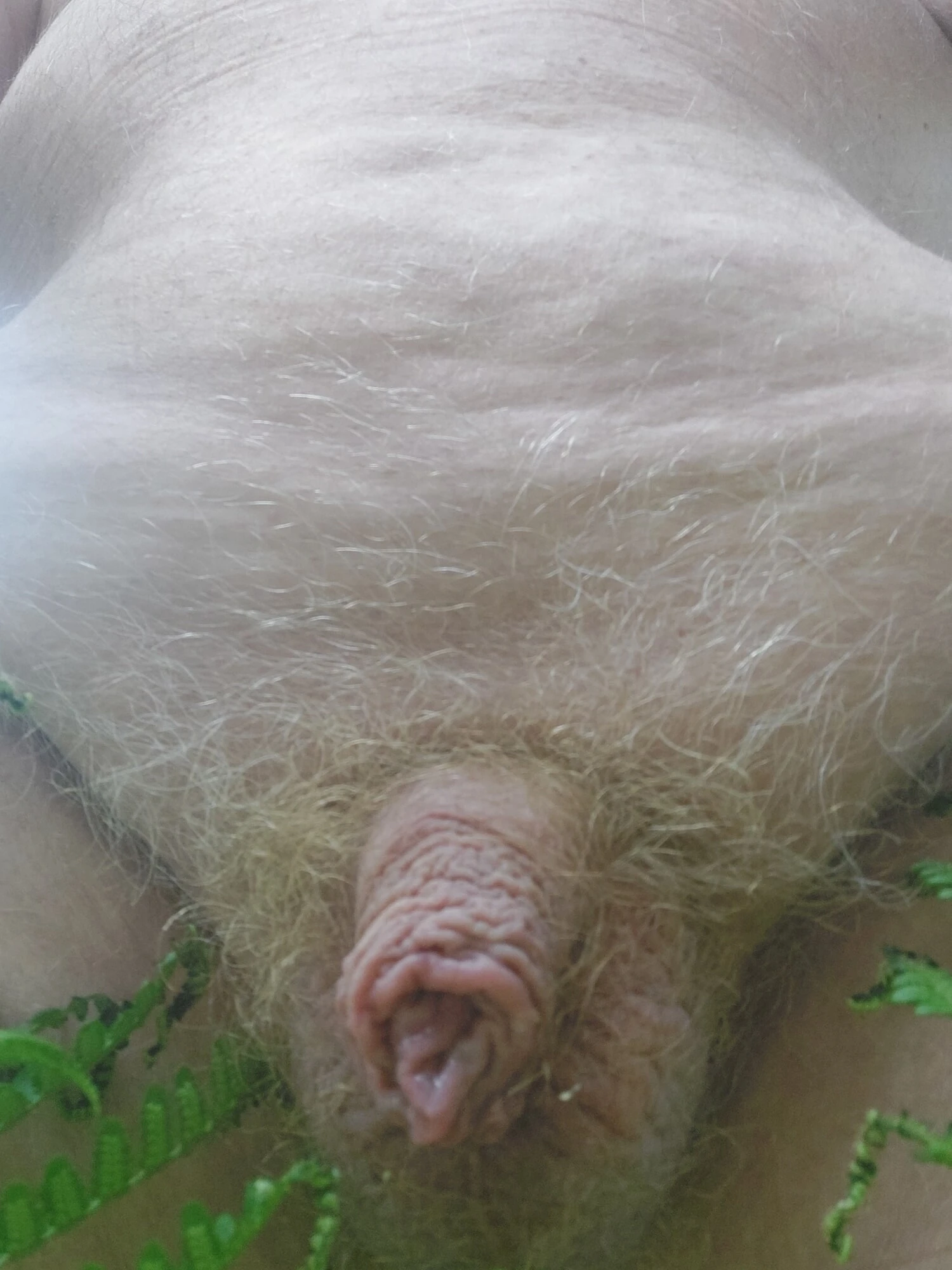 Small dick in the garden