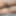 Covo_sissy_cross 