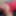 HANNAH Tanner 2023 pics