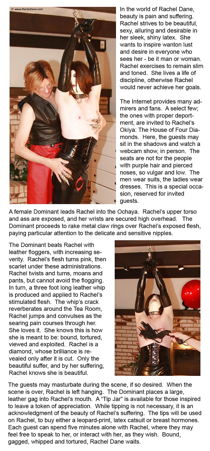 In the World of Rachel Dane #32