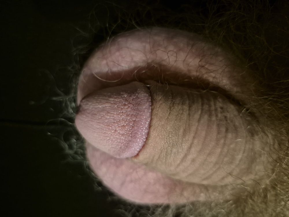 Flaccid and hairy cock #19