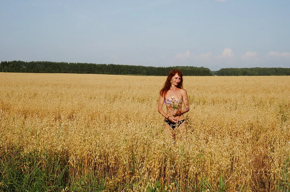 In evening field with bluebottle #17