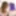 KELLYQUELLXXX: The Debut Of Sarah Fauna - THE SLUT!