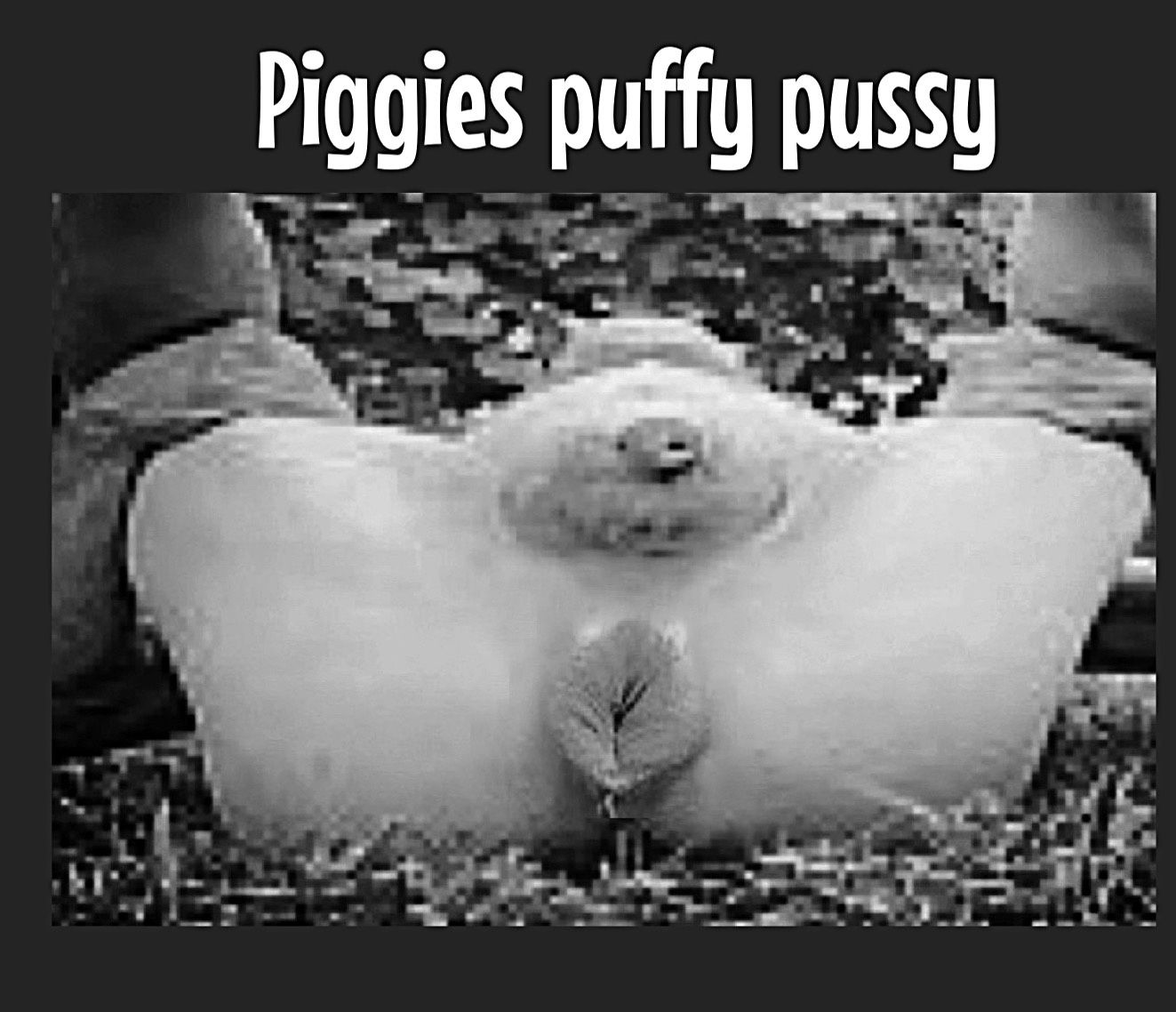 Piggies puffy pussy