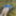 Cover up, reveal #54