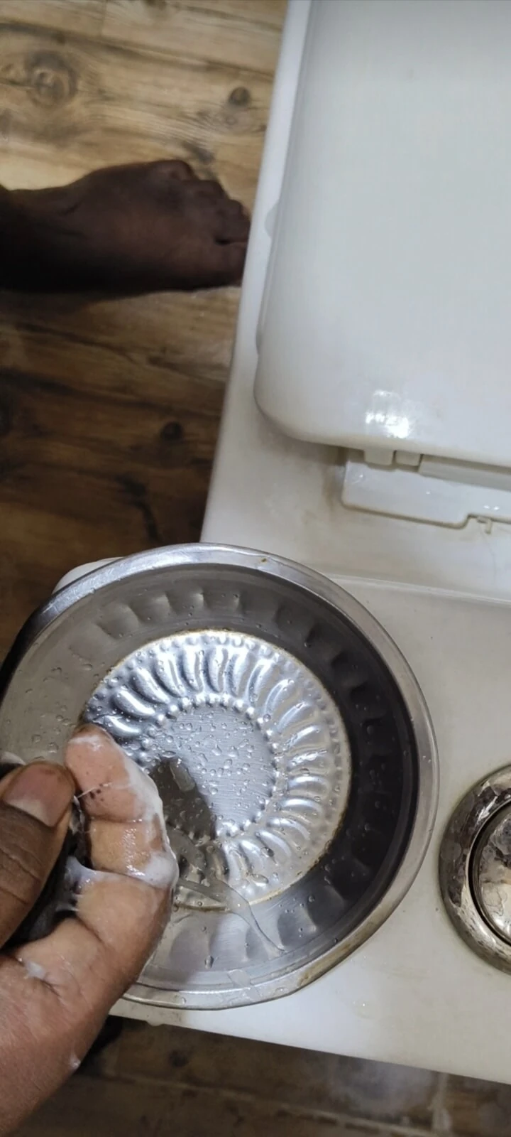 Cum on plate  #5