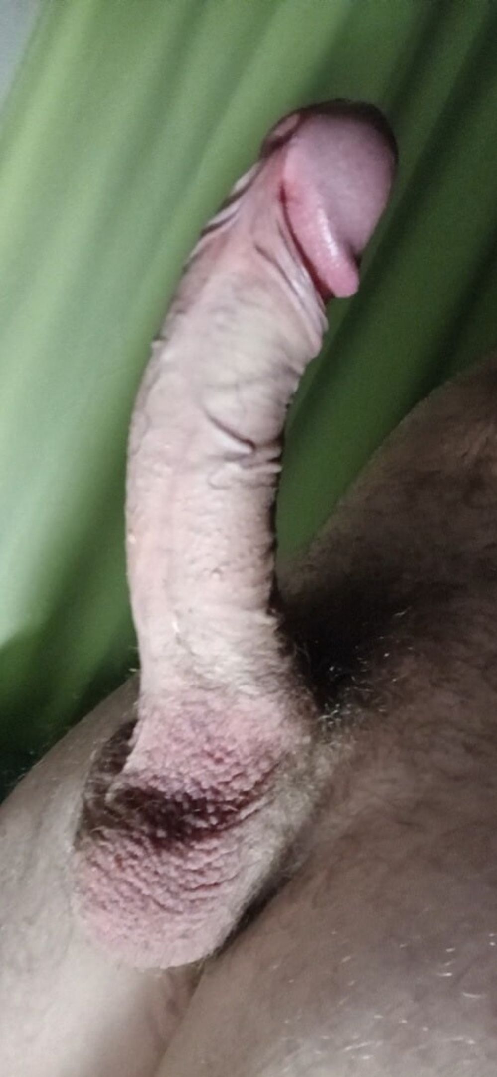 Some cock selfies haha #3