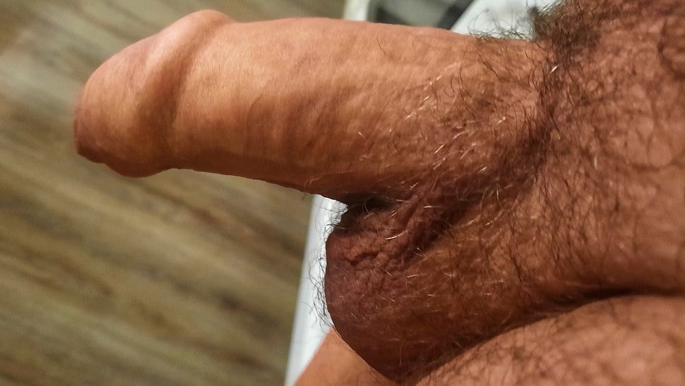 Photos of my cock  #2