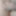 光沢のあるナイロンといくつかの新しい美しい写真