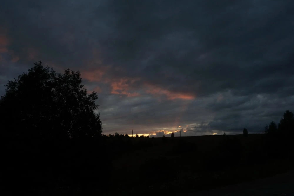 Twiligh upon Forest Lake #25
