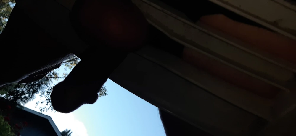 Cock #6