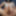 Big Condom Cumshot &amp; White Bikini #6