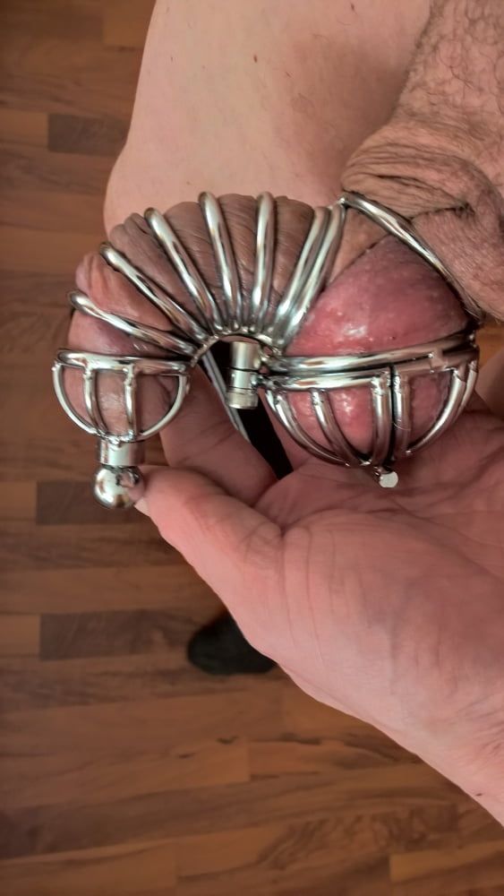 Smallest penis and testicle cage 2 #2