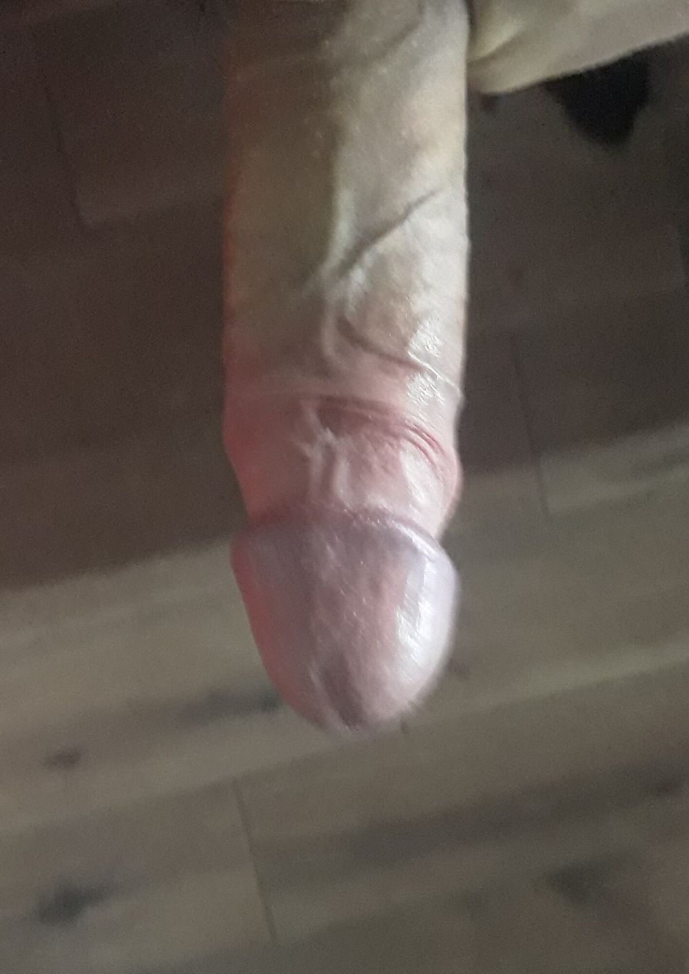 Closeup Cock #9