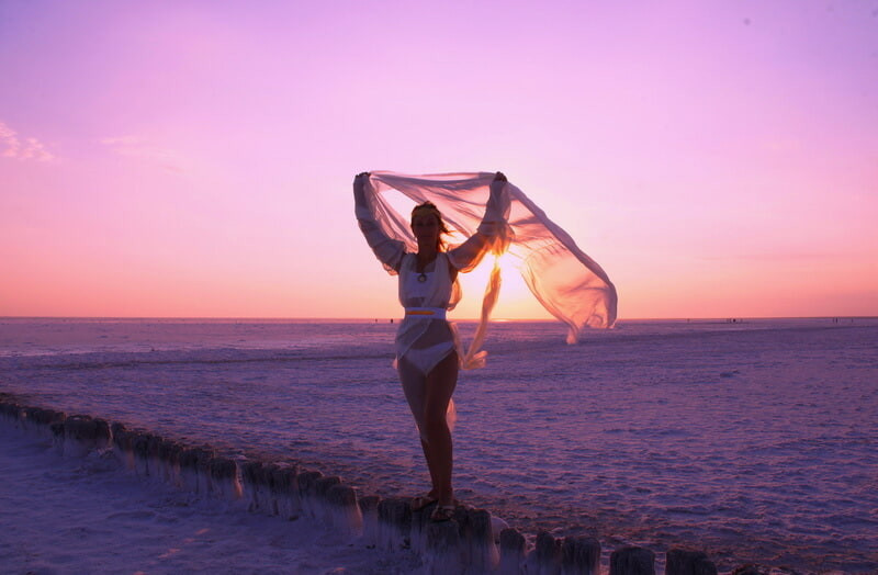 Pink Flamingogo #12