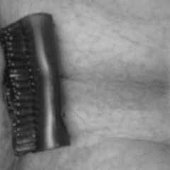 Suck my cock 
