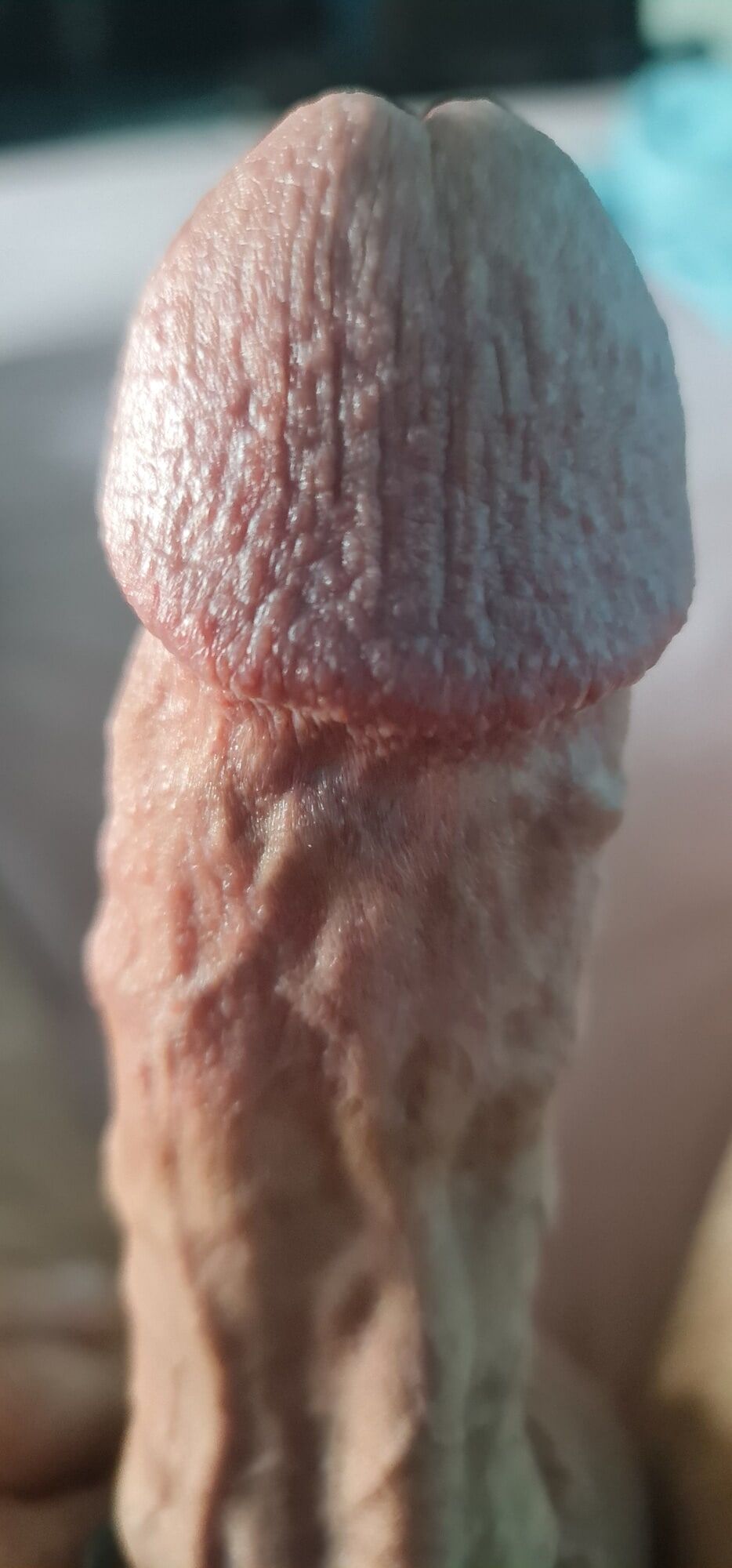 My veiny hard cock in close up #29