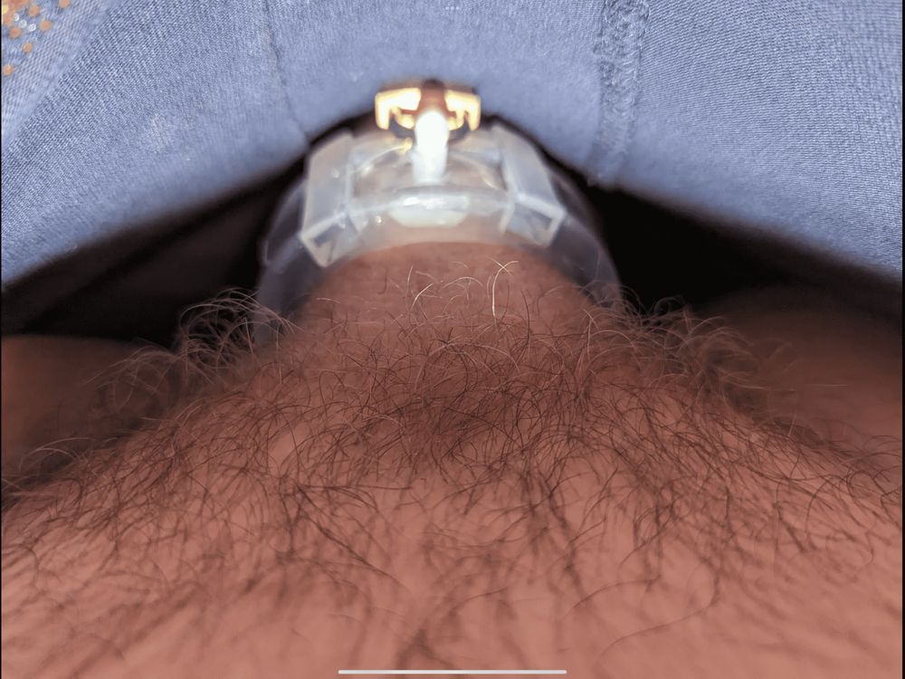 My small dick now in chastity cage :( #2