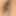 Close up Asshole