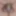 Oktober 12, 2024 Daily duty of the naked slave #5