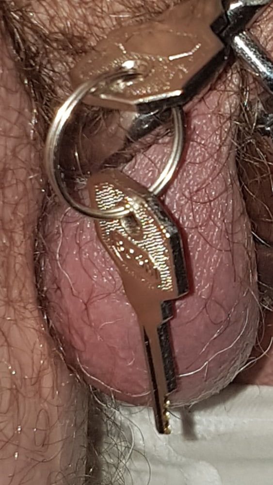 Chastity cage #20
