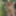 big boobed naturist