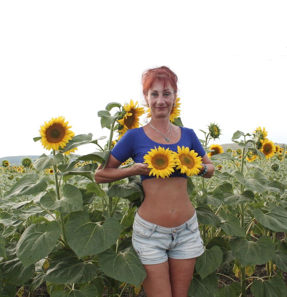 Sunflowers #6