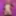 Alisya JC weekly photos 40 Anal Dildo Gape