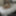 GIFs for Pro-Am scenes 201-205 #29