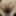 Sexy BBW wife with huge tits #24