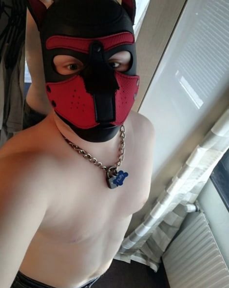 I'm also into pup play and gear