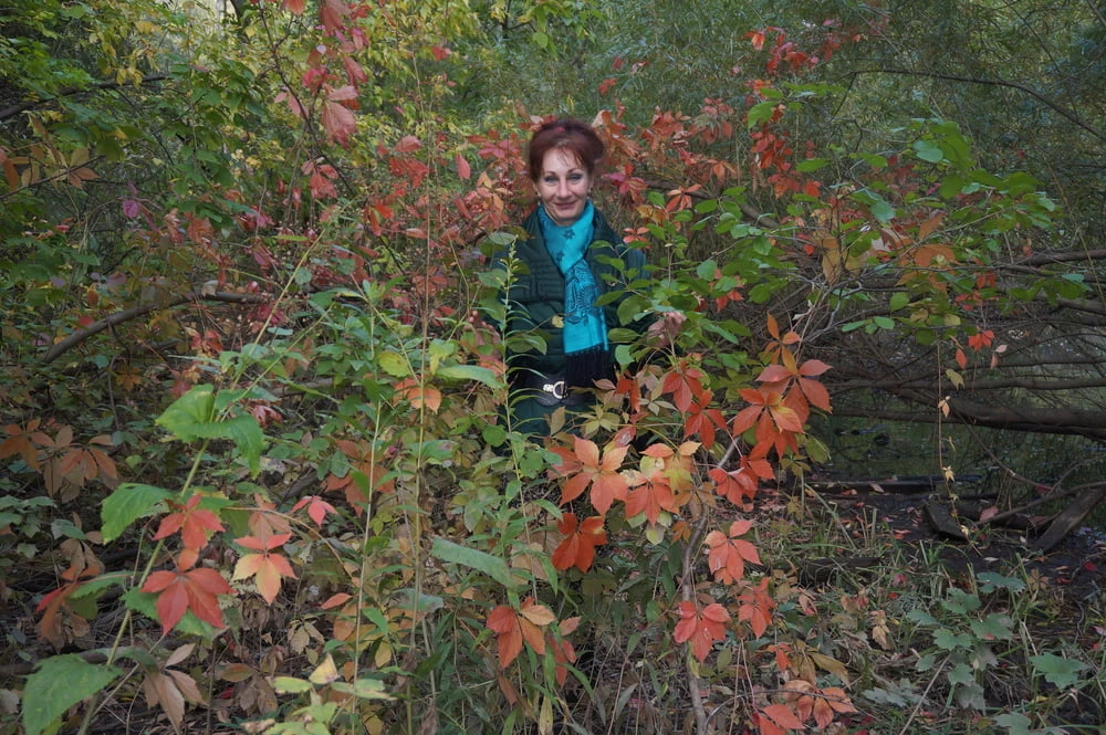 Autumn plot #23