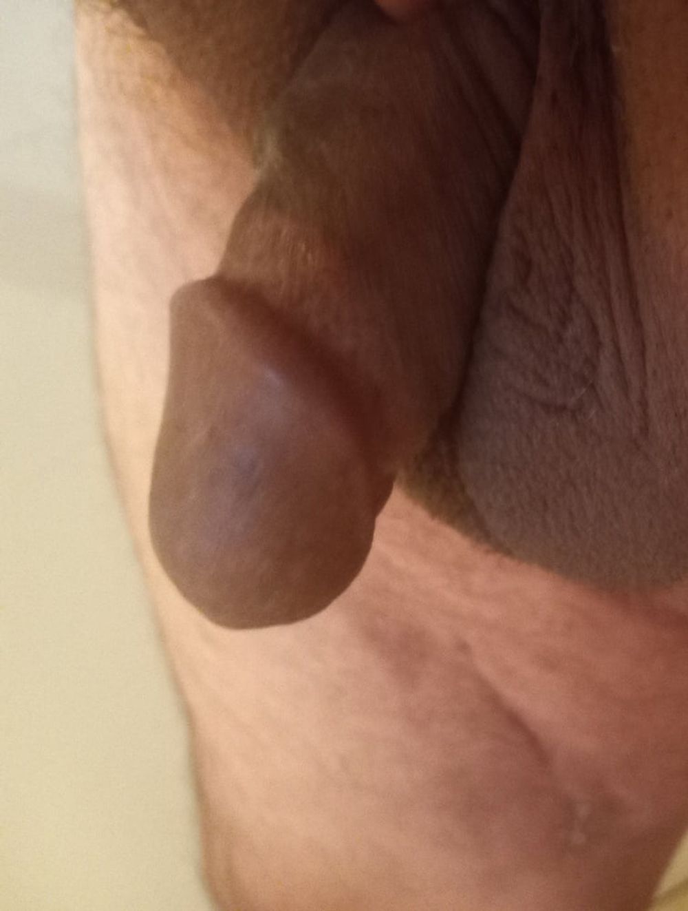 Small circumcised cock! #6