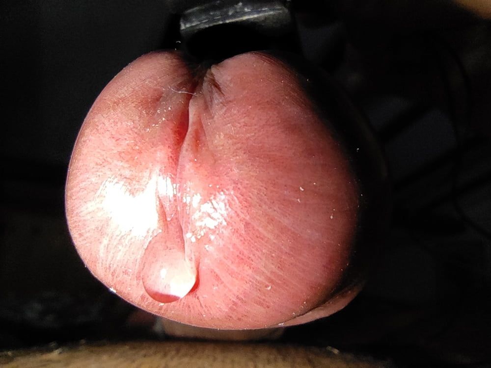 Electro estim cock & precum close-up #2