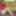 Akari Satsuki :: Train Me Like In The Past - CARIBBEANCOM #5