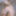 Big Butt Morning Shower Masturbation