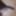 Horny Indian Guy Playing with Cock &amp; Masturbating..