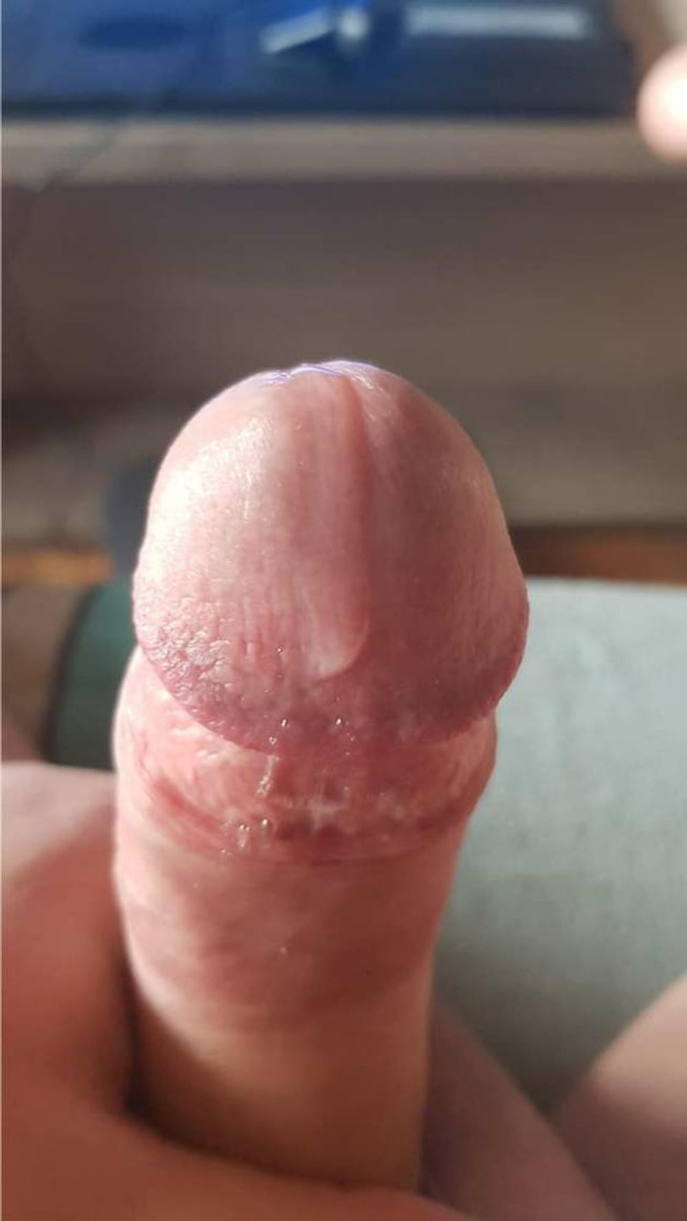 Precum #6