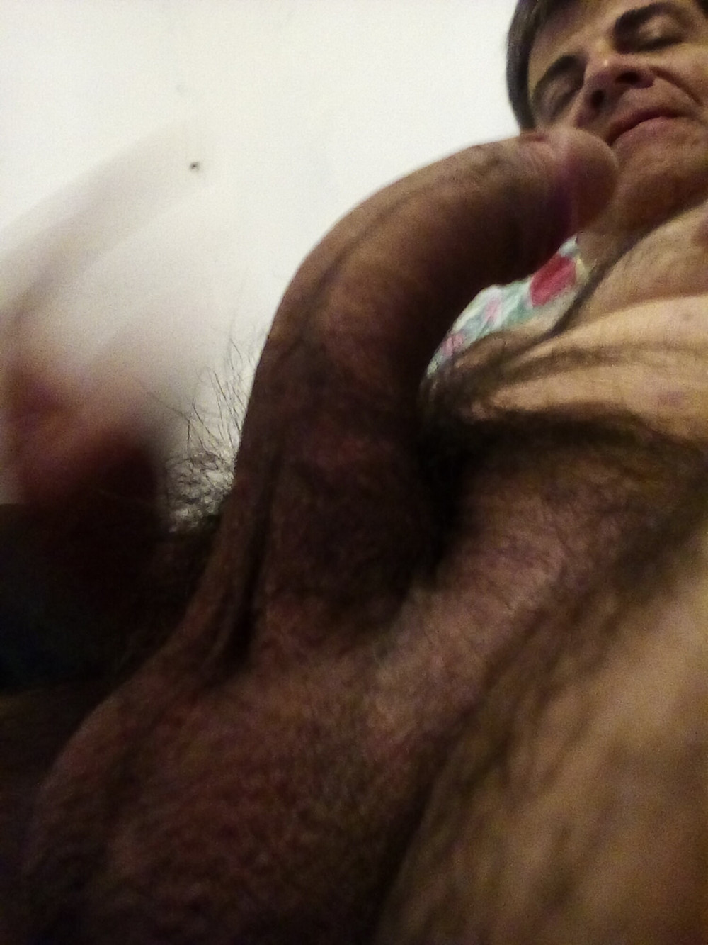 StallionXXX #11