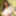 Hiromi Okura :: Debut Vol.45 - CARIBBEANCOM #2