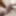My Cock Pics 🍆